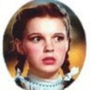 Meet your Posher, Heidi